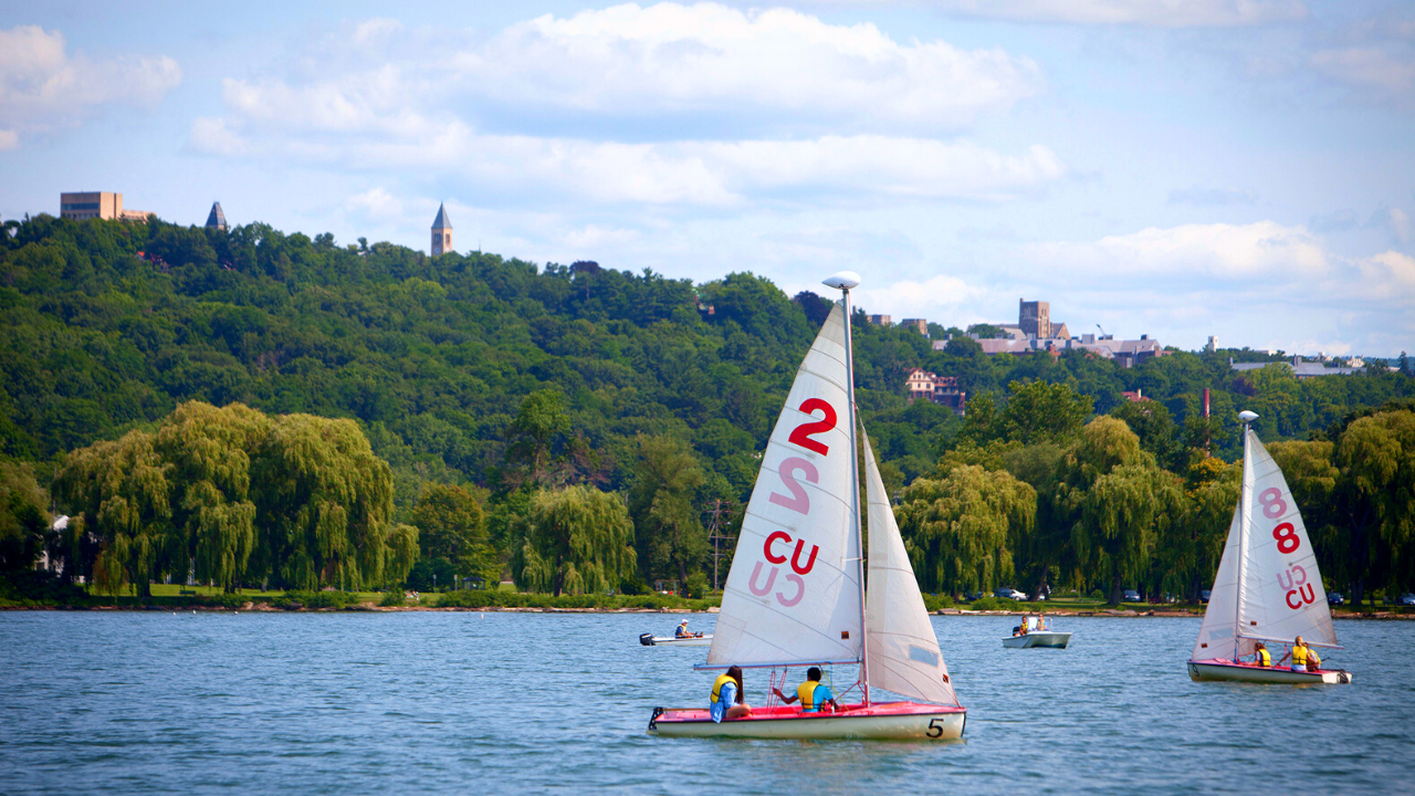 Sailboats on Cayuga Lake