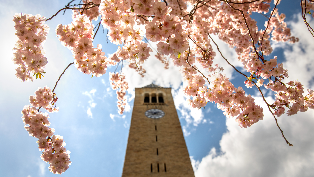 Cornell Clocktower