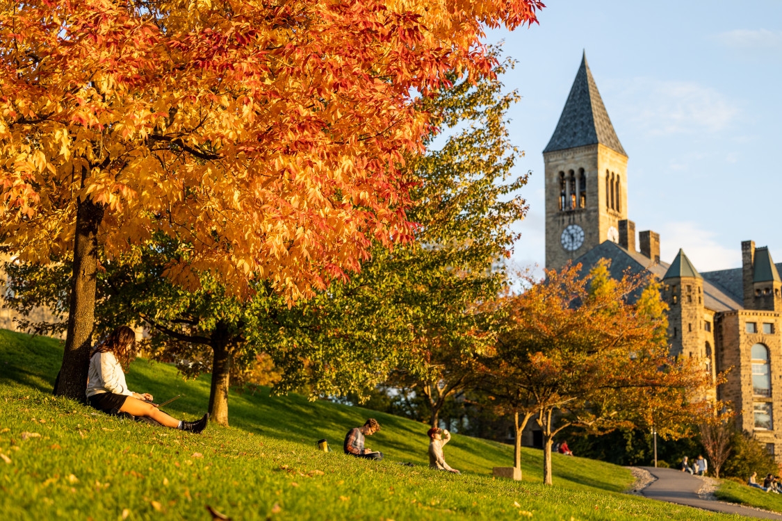 Libe Slope in Autumn.