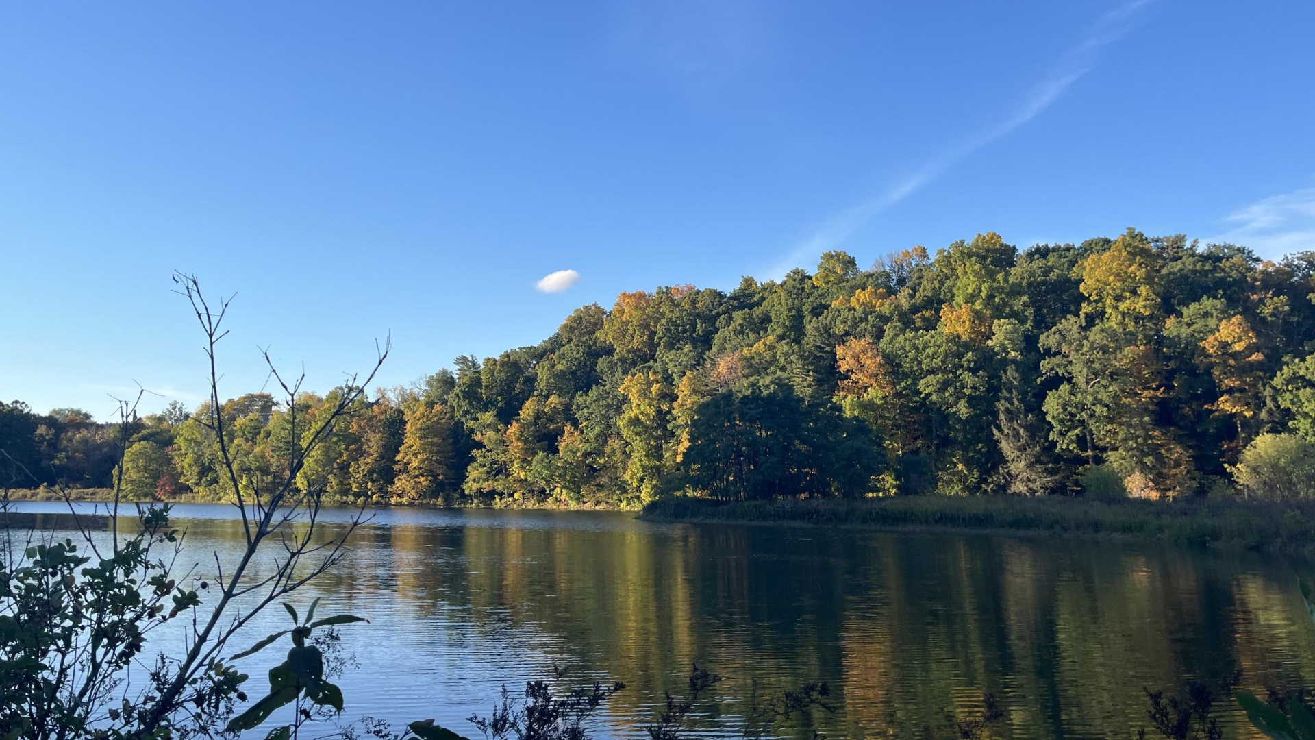Beebe Lake in the early fall.