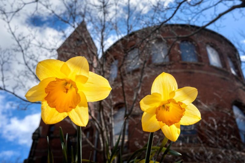 Fresh spring flowers blooming at Barnes Hall.