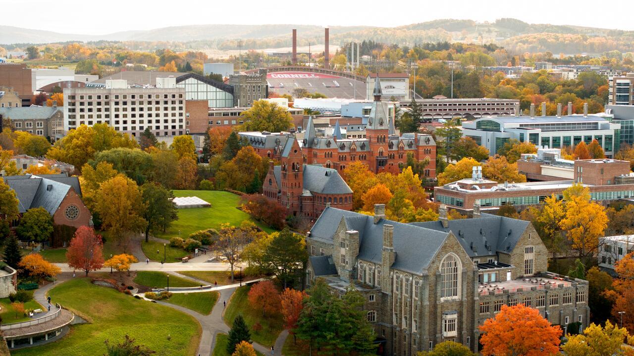 Leaves begin their transformation to fall colors around campus.