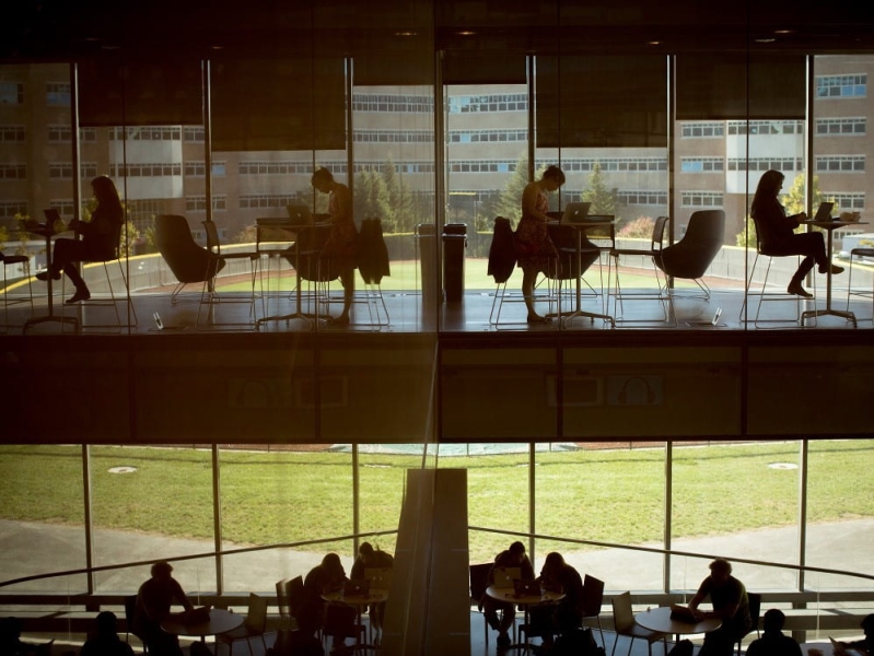 Students study in Gates Hall