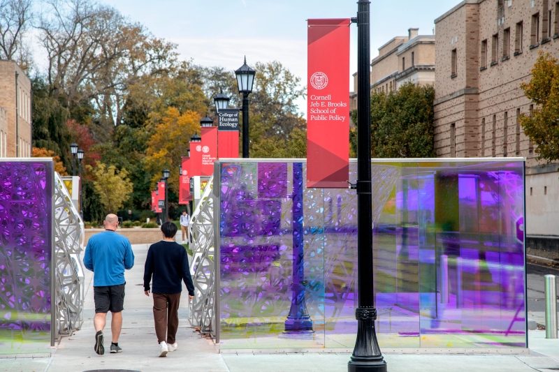 Signs for the Jeb E. Brooks School of Public Policy by a purple glass art installation.