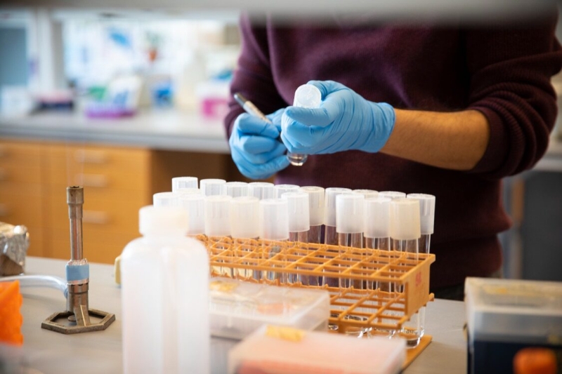 Postdocs in Scott Emr's lab in Weill Hall work to freeze down cell samples to preserve the lab’s research.