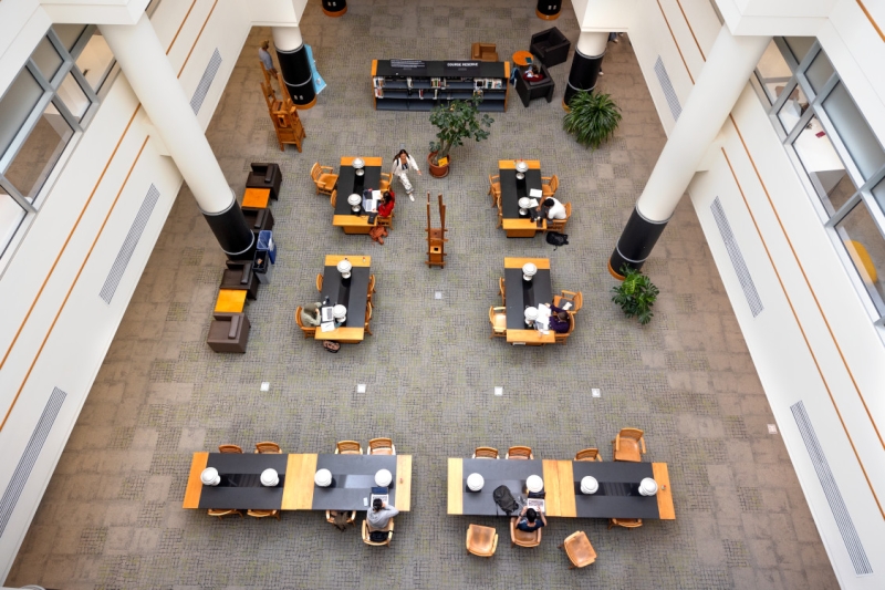 Students study in Mann Library.
