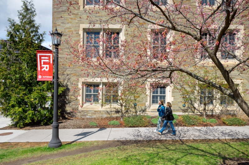 Students pass beneath spring blossoms outside Ives Hall.
