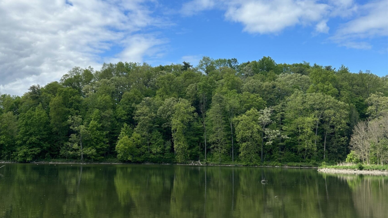 Beebe Lake in the summer.