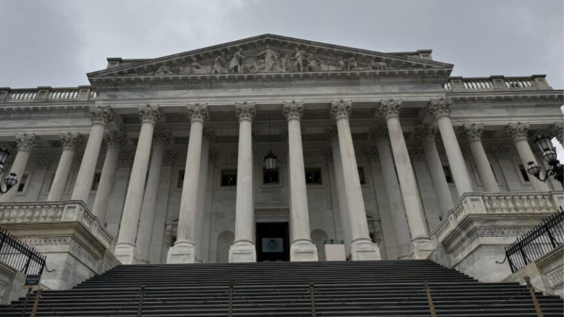 A view looking up the steps to the U.S. capitol