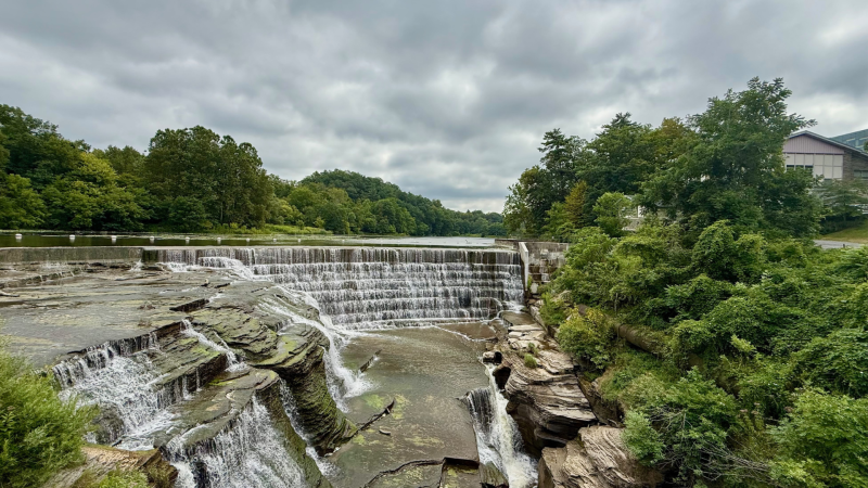 View from the top of the gorge on north campus.