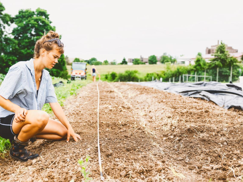 For more than two decades, Dilmun Hill has raised both produce and awareness about the value of agriculture.