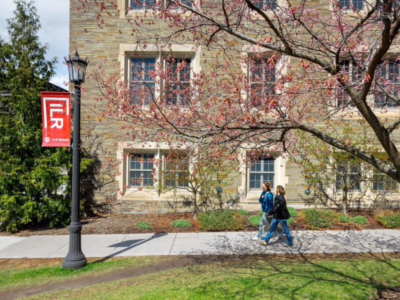Students pass beneath spring blossoms outside Ives Hall.