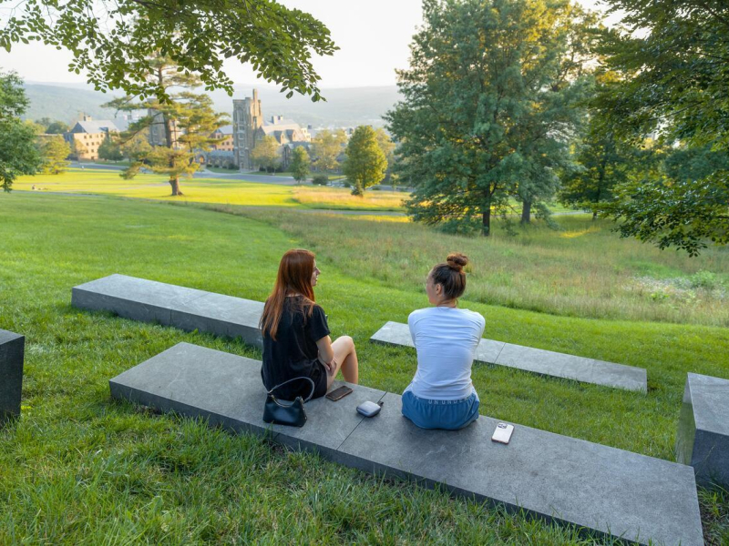 Students relax in the The Sesquicentennial Commemorative Grove on Libe Slope during summer session.