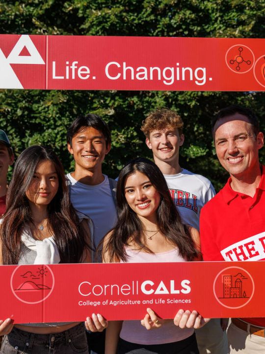 CALS Fest 2025 in the Ag Quad