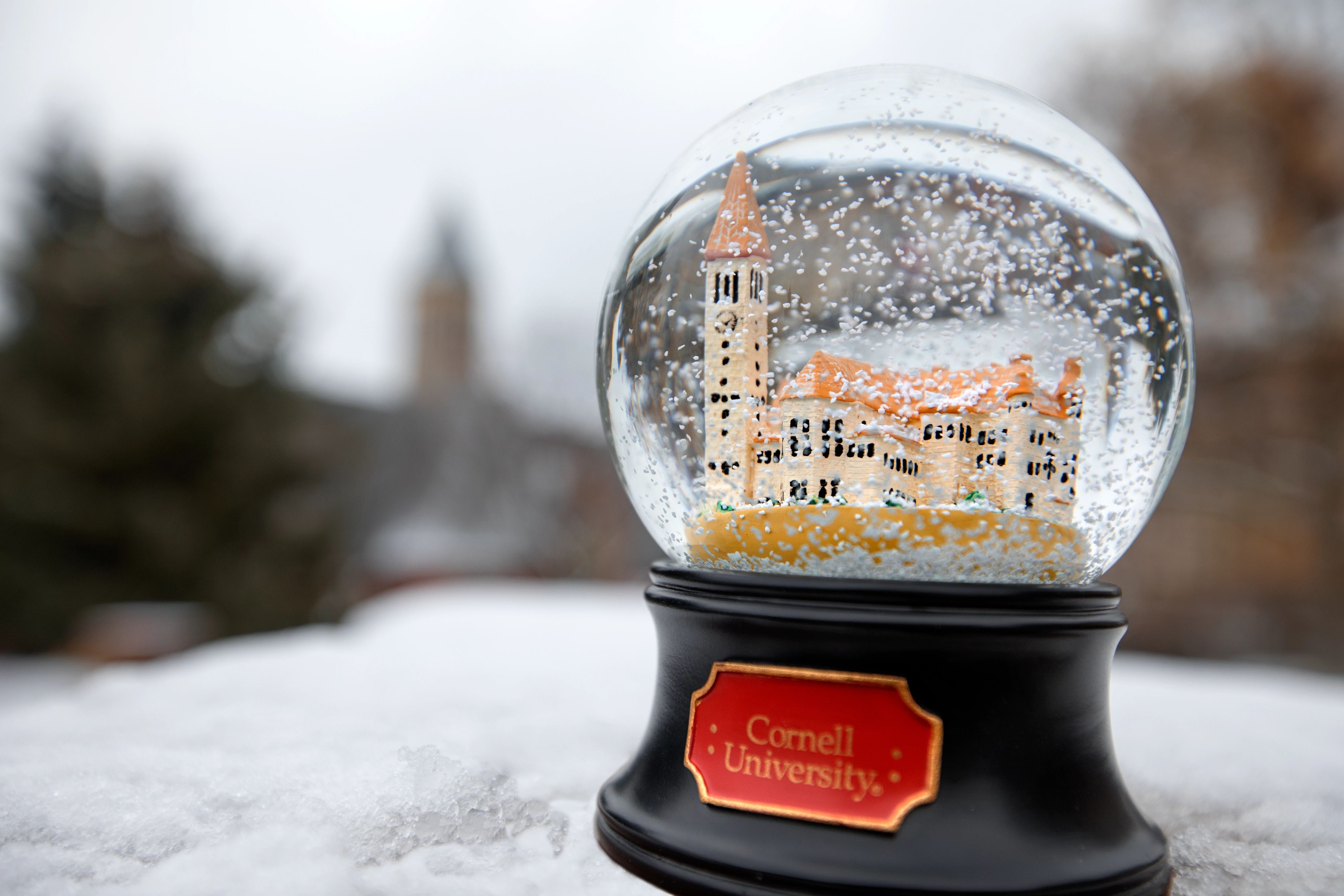 A Cornell snow globe sits on wintry surface. 