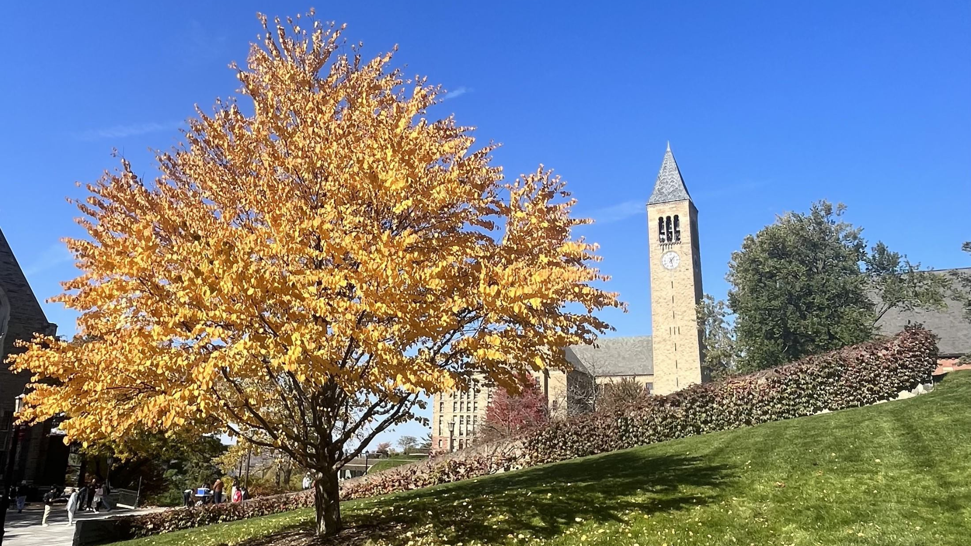 A view of the clocktower from the Arts Quad on a fall day.