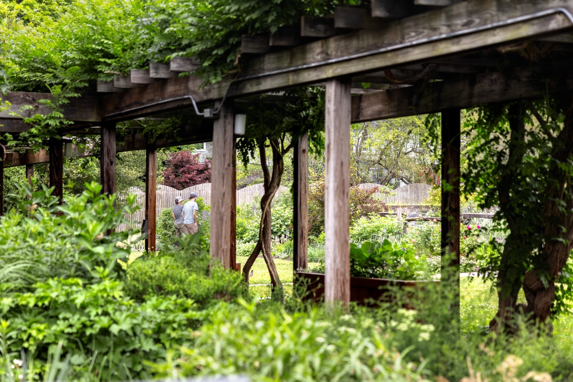 Cornell tourists enjoy the Botanic Gardens.